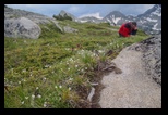 Pirin - Vihren - Tevno -05-07-2015 - Bogdan Balaban